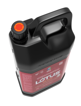 bombona diagonal cima